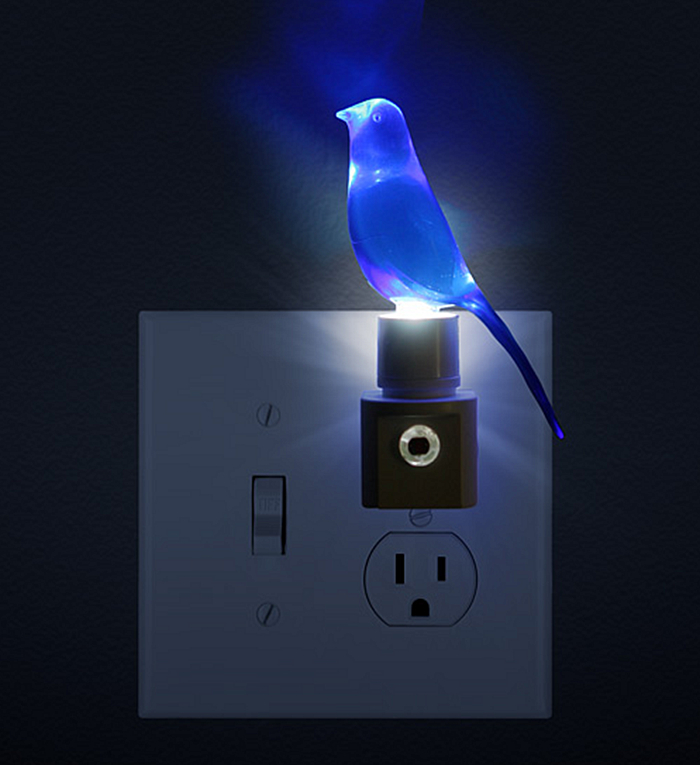 Blue Canary in the Outlet by the Light Switch