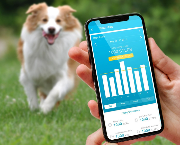PETBLE Dog Cat Pet Smart Tag Tracker -